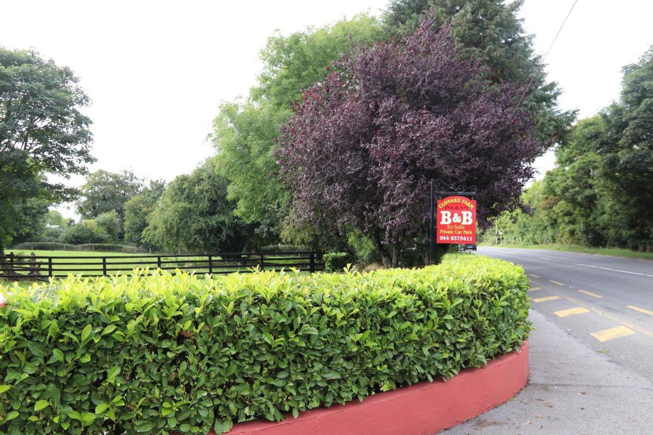 Clonard Farm B&B Exterior foto
